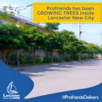 FIND OUT HOW LANCASTER NEW CITY CAN GROW AND TAKE CARE OF TREES.